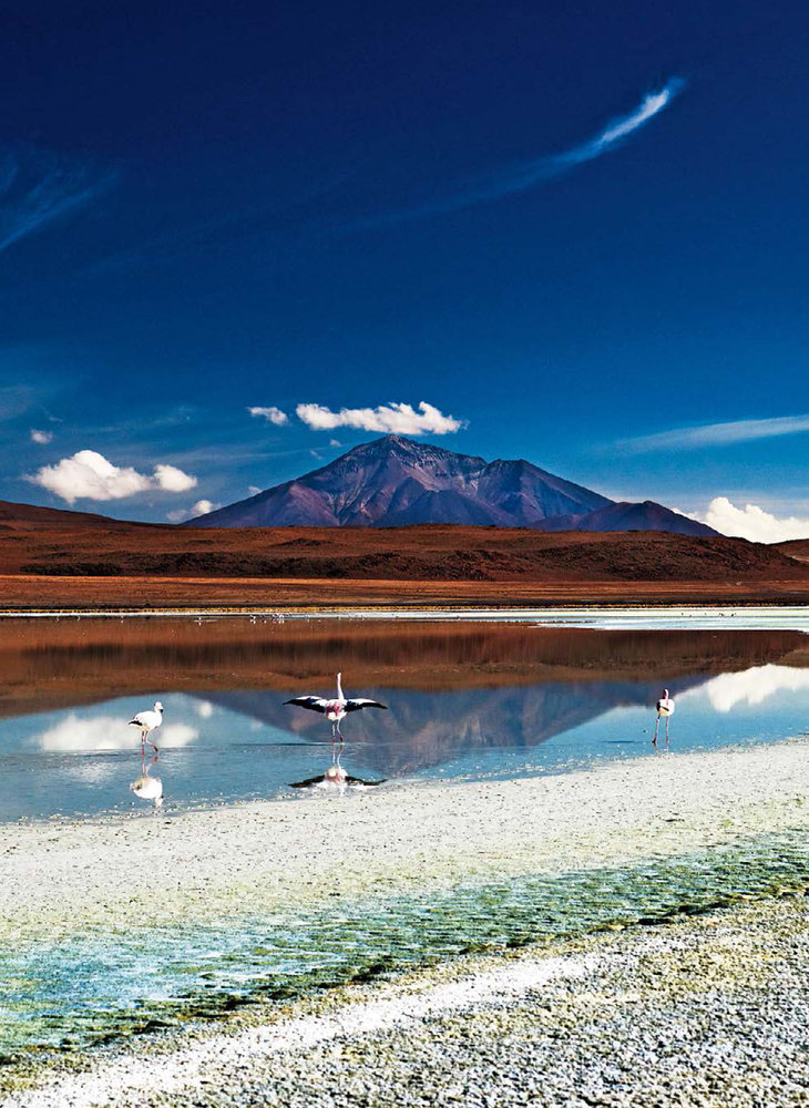 AG_TR0515_Bolivia-8